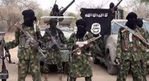 Security: ISWAP/Boko Haram Targets Fulani Herdsmen, Kills 21 in Borno State