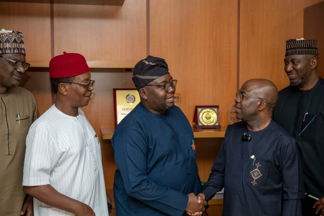 Power Minister, Adelabu Emphasizes State’s Involvement for Sectoral Transformation