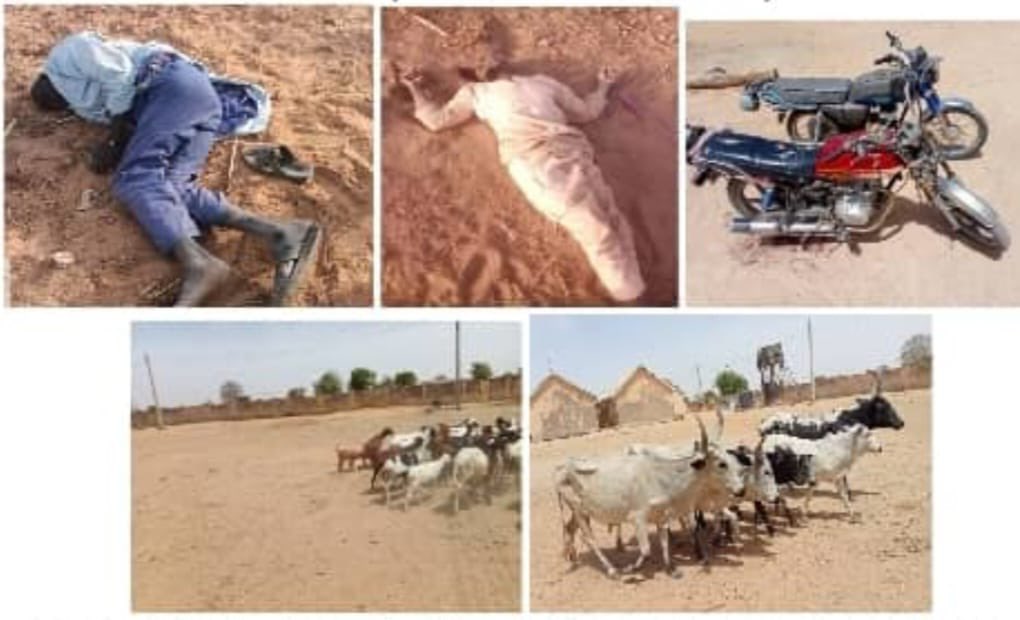 Army Troops Neutralise Terrorists, Recover Arms, Rustled Cattle in Borno, Katsina